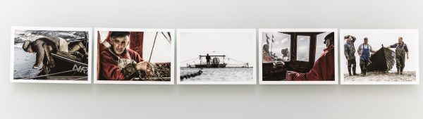 ZUM FISCHEN GEBOREN Postkartenset