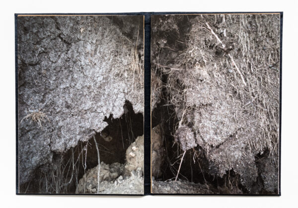 SOUL & SOIL Collector's Edition – Bild 2