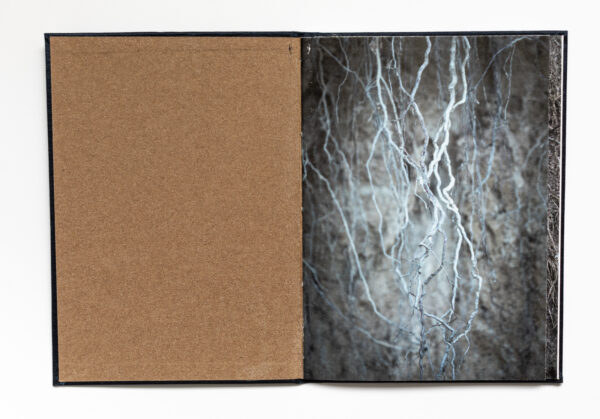SOUL & SOIL Collector's Edition – Bild 3