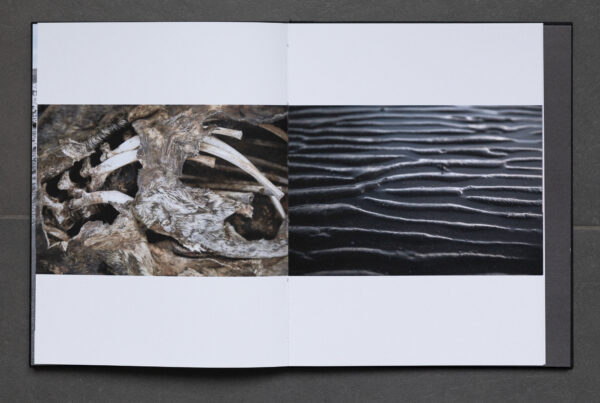 HIDDEN ICELAND / COLLECTOR´S EDITION - Image 6