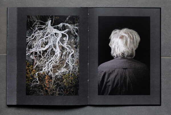 HIDDEN ICELAND / COLLECTOR´S EDITION - Image 12