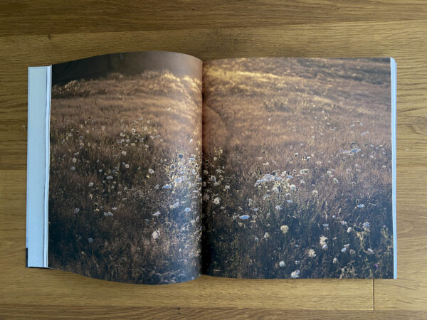 RUGIA – Bild 2