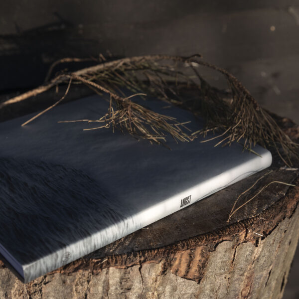 ANGST Collector's Edition